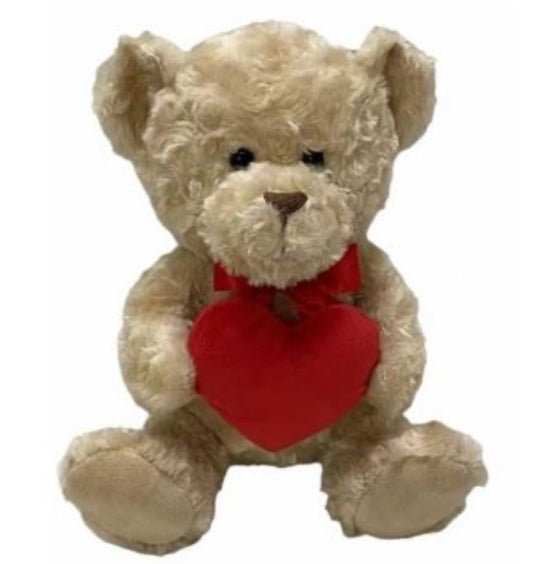 25cm teddy bear with any choice of name