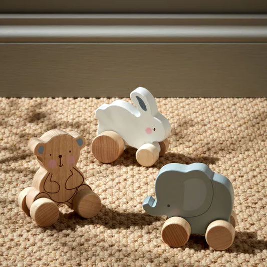 Wooden toy push animals